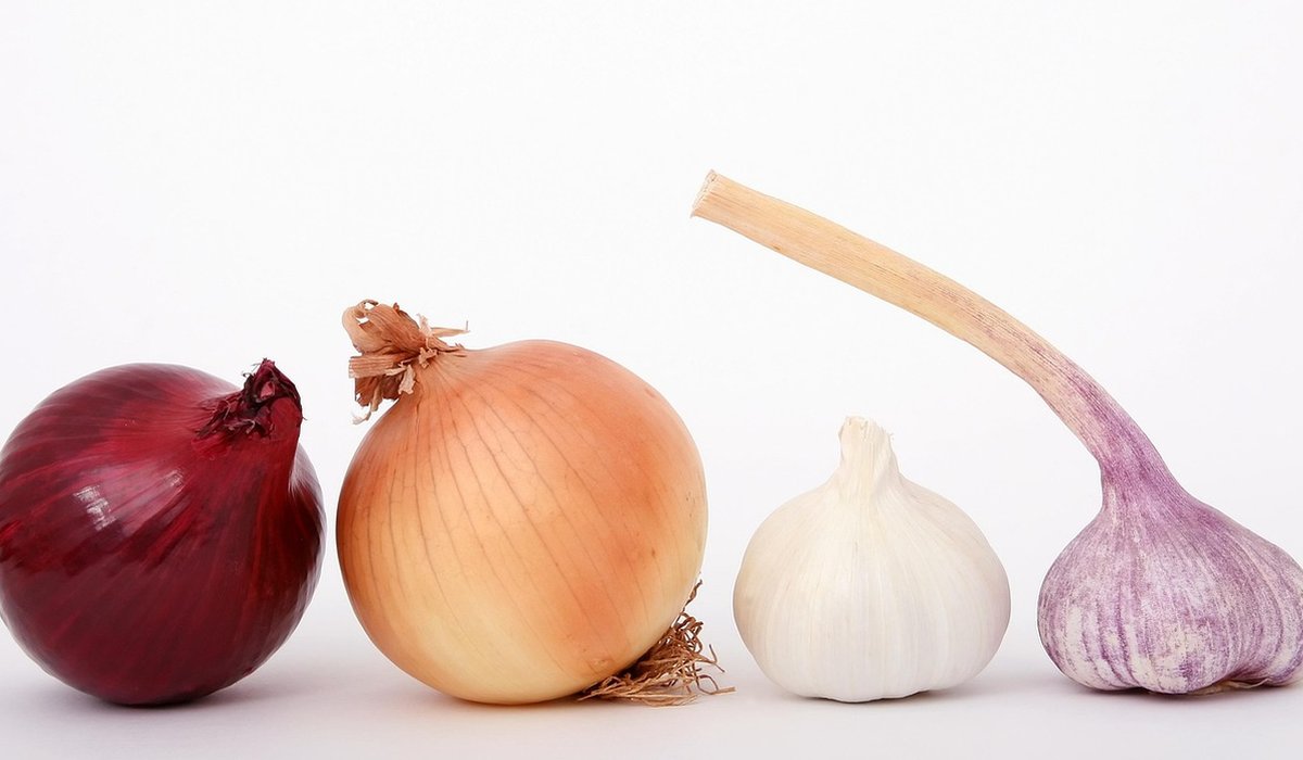 How to Store Fresh Vegetables to Last Longer
