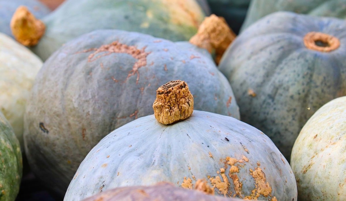 Simple Ways to Reduce Food Waste at Home